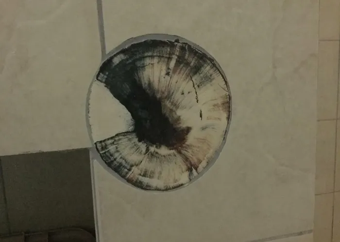 Appartement 69 Sq.m. For You - Easy Parking *