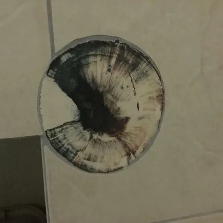 Apartament 69 Sq.m. For You - Easy Parking *